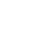 Puli2